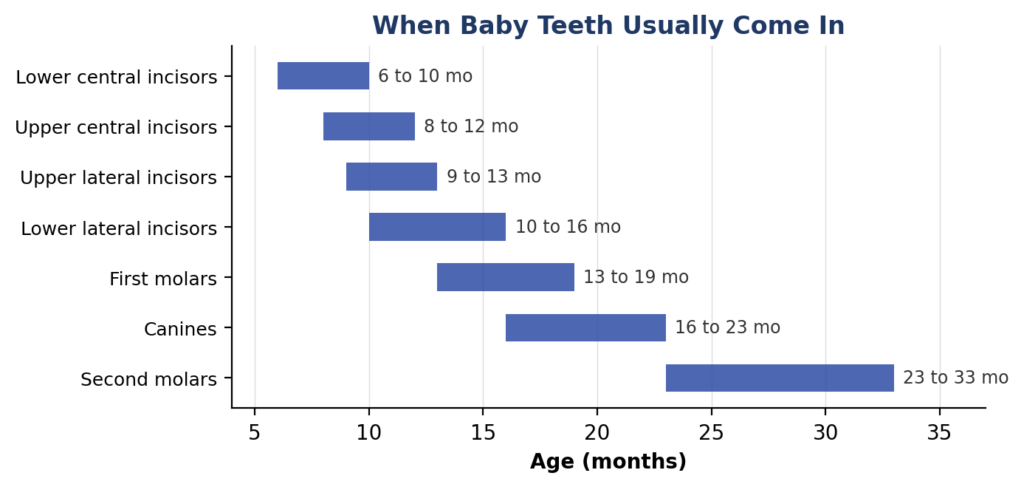 baby teeth chart