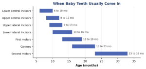 baby teeth chart